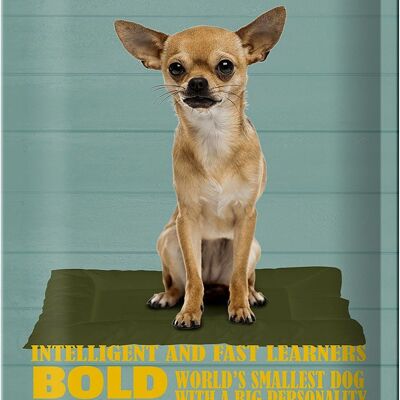 Tin sign saying 20x30cm Chihuahua dog bold confident