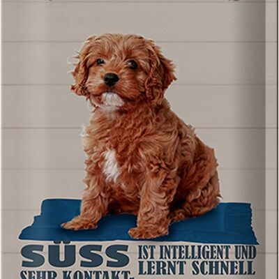 Blechschild Spruch 20x30cm Cavapoo Hund süss freundlich