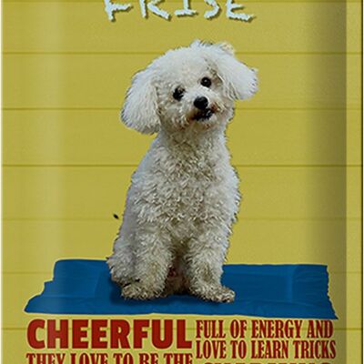 Tin sign saying 20x30cm dog Bichon Frise cheerful