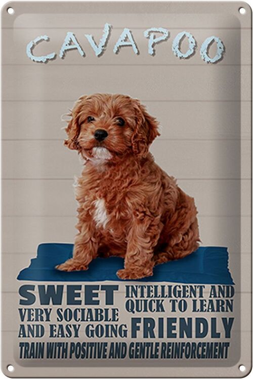 Blechschild Spruch 20x30cm Cavapoo Hund sweet friendly