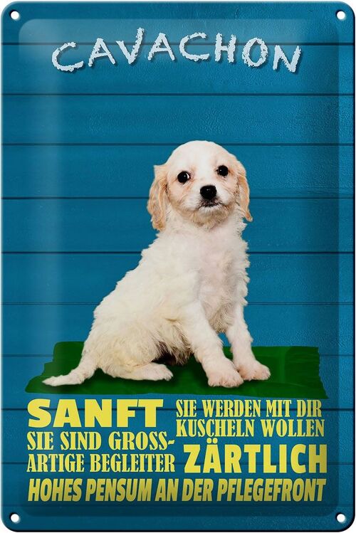 Blechschild Spruch 20x30cm Cavachon Hund sanft zärtlich