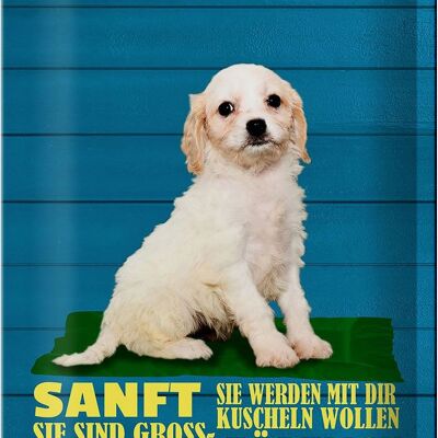 Cartel de chapa con texto "Perro Cavachon 20x30cm suavemente tierno"