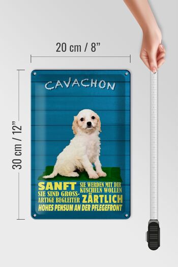 Plaque en tôle disant 20x30cm Chien Cavachon doucement tendre 4