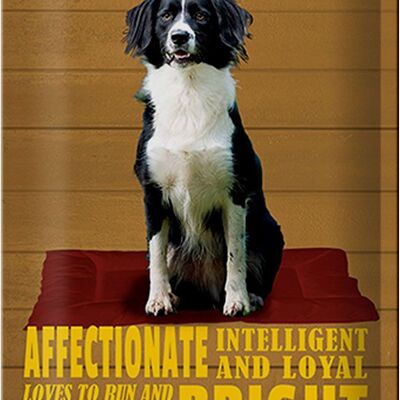 Blechschild Spruch 20x30cm Sprollie Hund intelligent loyal