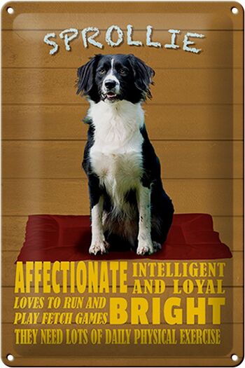 Panneau en étain indiquant 20x30cm Sprollie Dog Intelligent Loyal 1