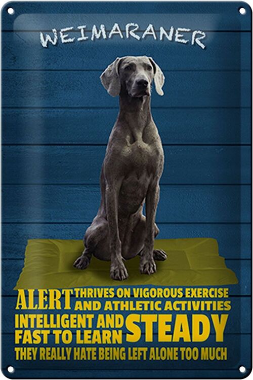 Blechschild Spruch 20x30cm Weimaraner Hund alert and steady