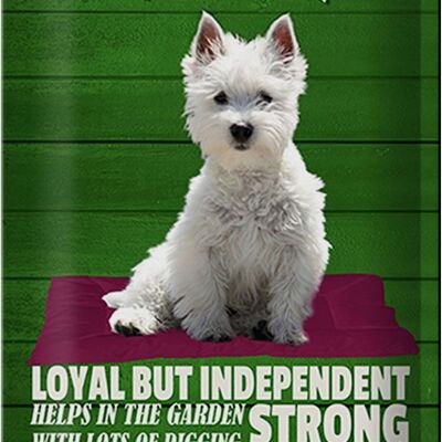 Panneau en étain indiquant un chien West Highland Terrier de 20 x 30 cm, fidèle mais indépendant