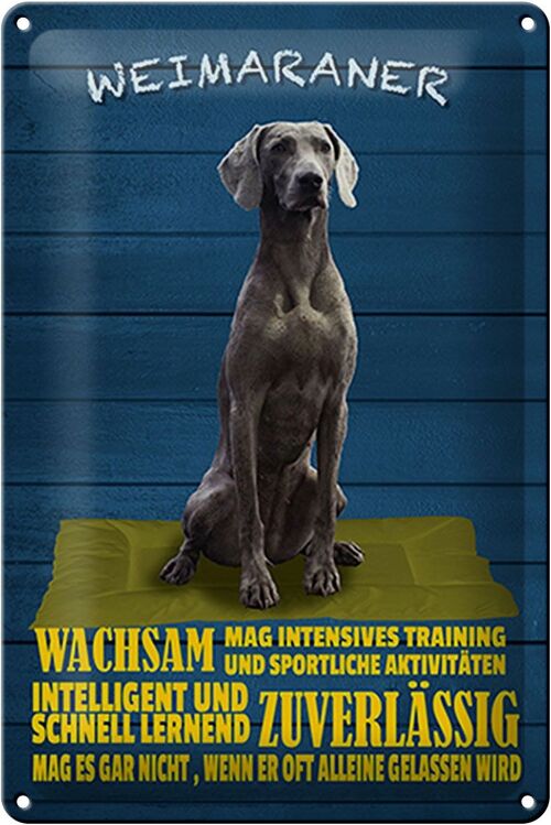 Blechschild Spruch 20x30cm Weimaraner Hund wachsam schnell