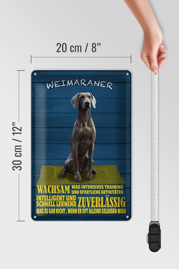Panneau en étain indiquant 20x30cm Alerte chien Braque de Weimar rapidement 4