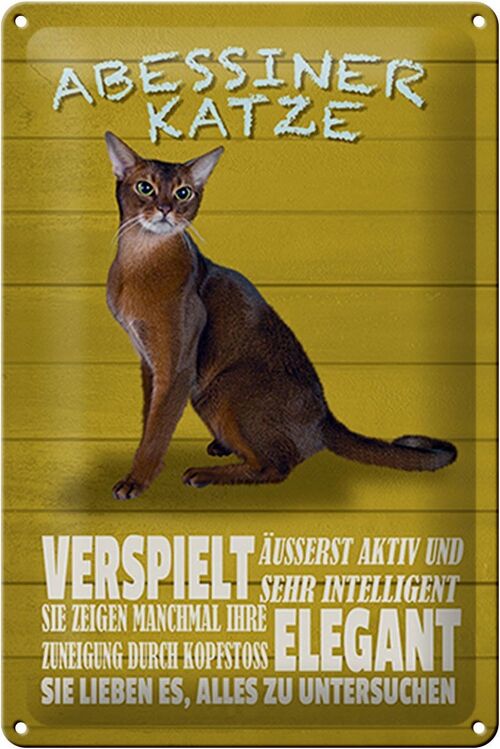 Blechschild Spruch 20x30cm Abyssinian Katze verspielt