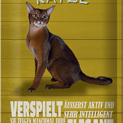 Blechschild Spruch 20x30cm Abyssinian Katze verspielt