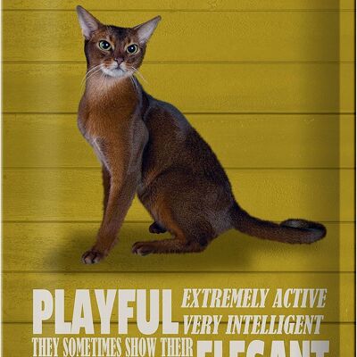 Cartel de chapa con texto "Gato abisinio 20x30 cm, juguetón y elegante"