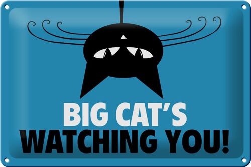Blechschild Spruch 30x20cm Big cat`s watching you Katze