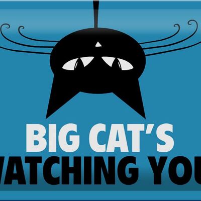 Metal sign saying 30x20cm Big cat`s watching you cat