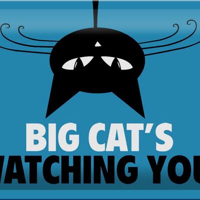 Blechschild Spruch 30x20cm Big cat`s watching you Katze