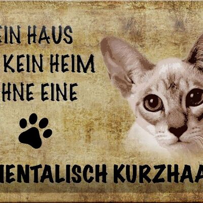 Blechschild Spruch 30x20cm orientalisch Kurzhaar Katze