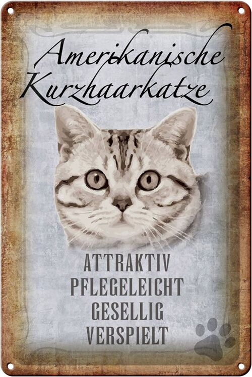 Blechschild Spruch 20x30cm Americanische Katze Kurzhaar