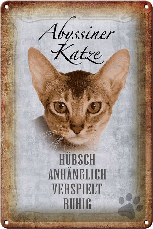 Blechschild Spruch 20x30cm Abyssiner Katze hübsch verspielt