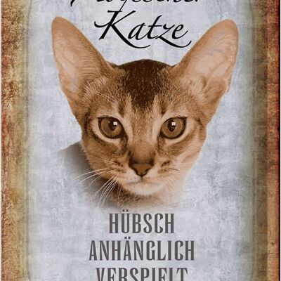 Blechschild Spruch 20x30cm Abyssiner Katze hübsch verspielt