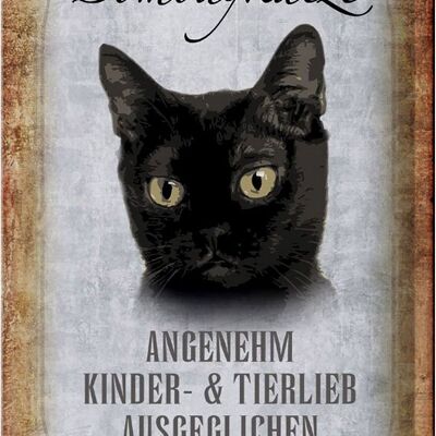 Blechschild Spruch 20x30cm Bombaykatze Katze