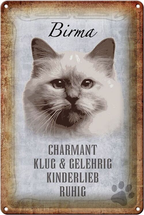 Blechschild Spruch 20x30cm Birma Katze klug