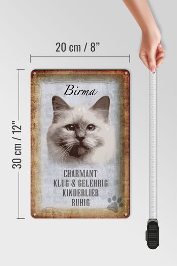 Plaque en tôle disant Chat de Birmanie intelligent 20x30cm 4