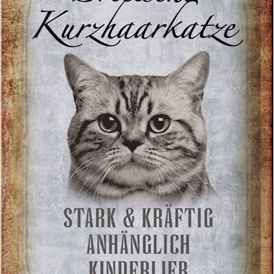 Blechschild Spruch 20x30cm britische kurzhaarkatze