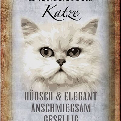 Blechschild Spruch 20x30cm Chinchilla Katze hübsch elegant