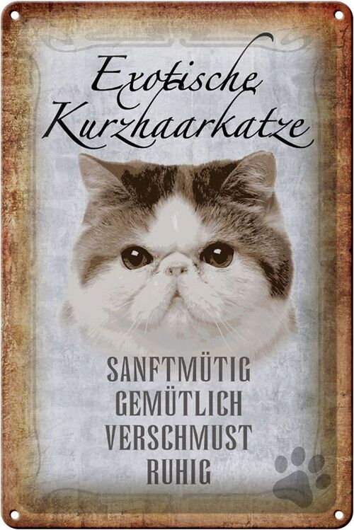 Blechschild Spruch 20x30cm exotische Kurzhaarkatze Katze