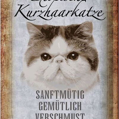 Blechschild Spruch 20x30cm exotische Kurzhaarkatze Katze