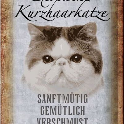 Targa in metallo con scritta "gatto esotico dal pelo corto" 20x30 cm