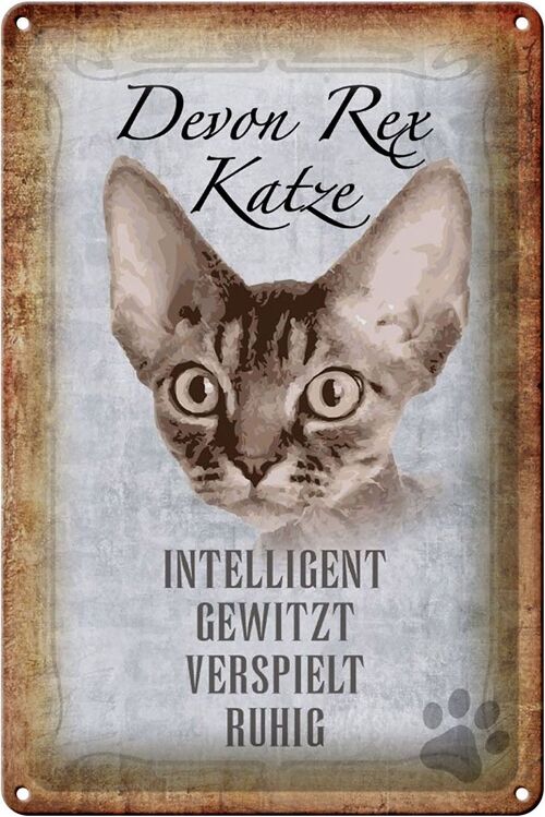 Blechschild Spruch 20x30cm Devon Rex Katze intelligent