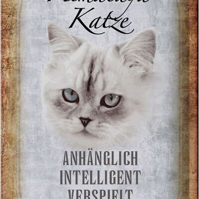 Blechschild Spruch 20x30cm Himalaya Katze sanft