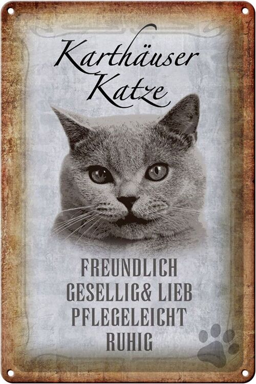 Blechschild Spruch 20x30cm Karthäuser Katze lieb