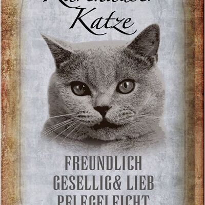 Blechschild Spruch 20x30cm Karthäuser Katze lieb