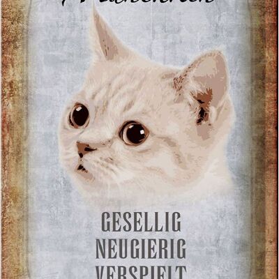 Cartel de chapa con texto "Gato Munchkin animado" 20x30 cm.