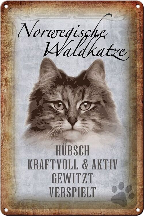 Blechschild Spruch 20x30cm norvegische Waldkatze Katze Wanddeko