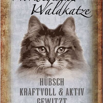 Blechschild Spruch 20x30cm norvegische Waldkatze Katze Wanddeko