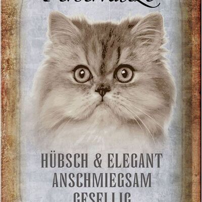 Blechschild Spruch 20x30cm Perserkatze Katze hübsch