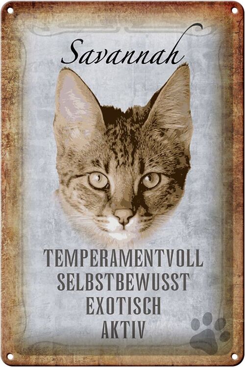 Blechschild Spruch 20x30cm Savannah Katze exotisch