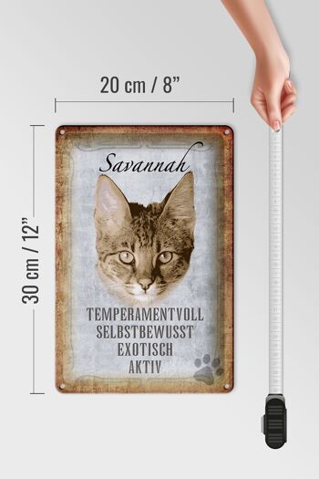 Plaque en tôle disant 20x30cm Chat Savannah Exotique 4