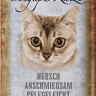 Blechschild Spruch 20x30cm Singapur Katze