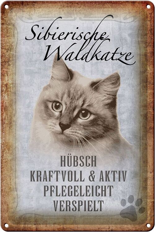 Blechschild Spruch 20x30cm sibierische Waldkatze Katze Wandschild