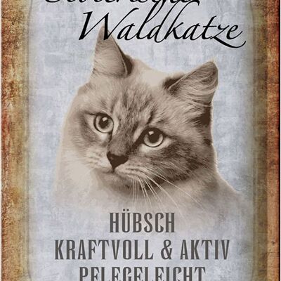 Blechschild Spruch 20x30cm sibierische Waldkatze Katze Wandschild