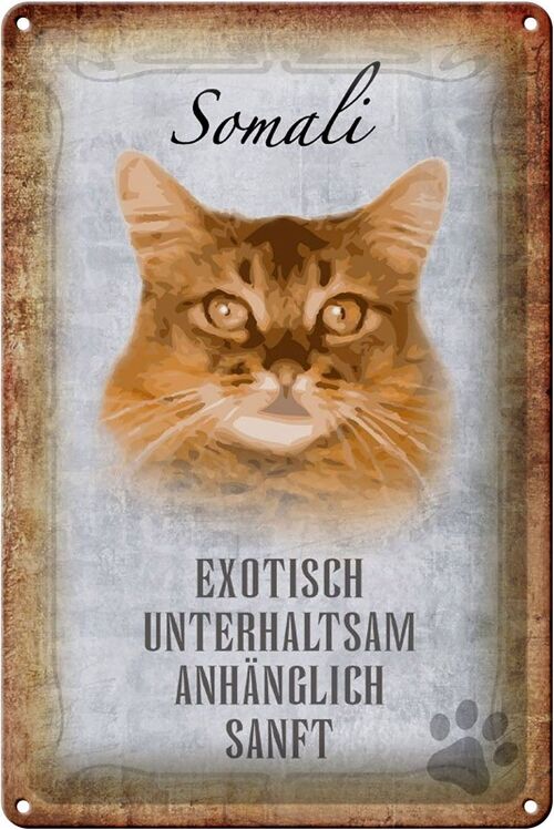 Blechschild Spruch 20x30cm Somali Katze Wanddeko