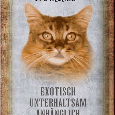 Blechschild Spruch 20x30cm Somali Katze Wanddeko