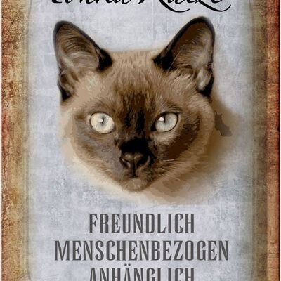 Blechschild Spruch 20x30cm Tonka Katze Wanddeko