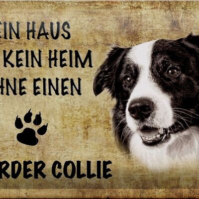 Blechschild Border Collie 30x20cm Haus ist kein Heim ohne