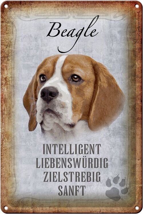 Blechschild Spruch 20x30cm Beagle Hund