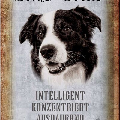 Cartel de chapa que dice perro Border Collie 20x30 cm